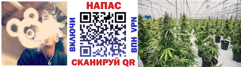 Наркошоп Выборг COCAIN  ГАШ 