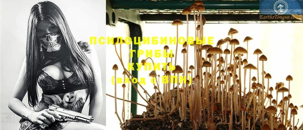 MESCALINE Бородино