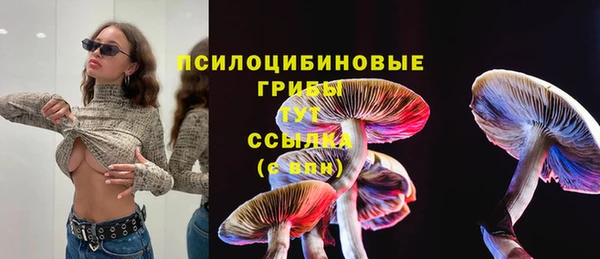 СК Семёнов